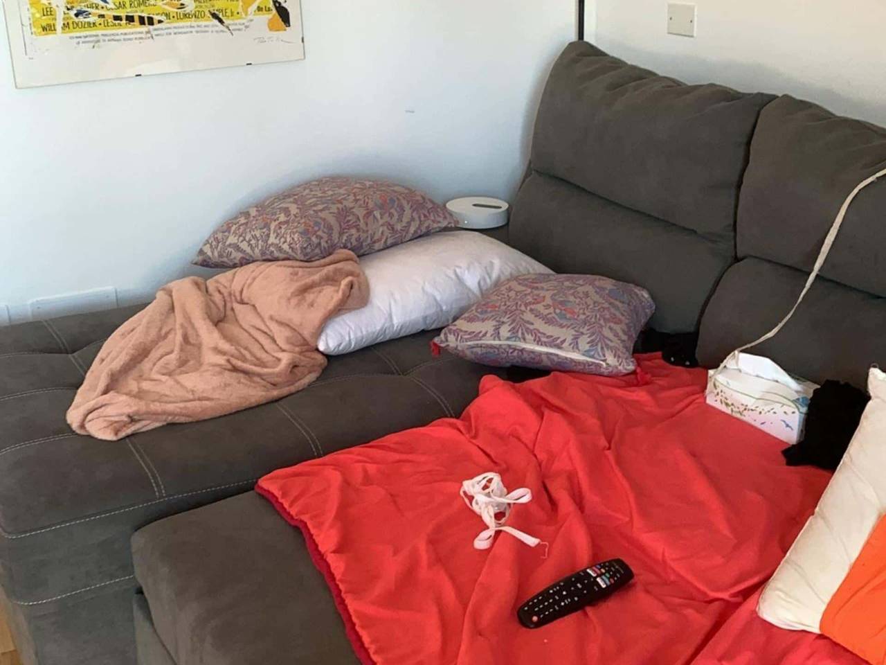 immagine annuncio 11 di 15