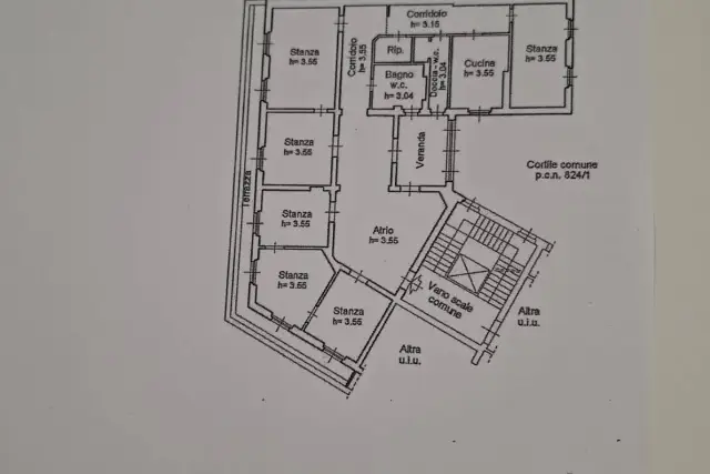 insertion image