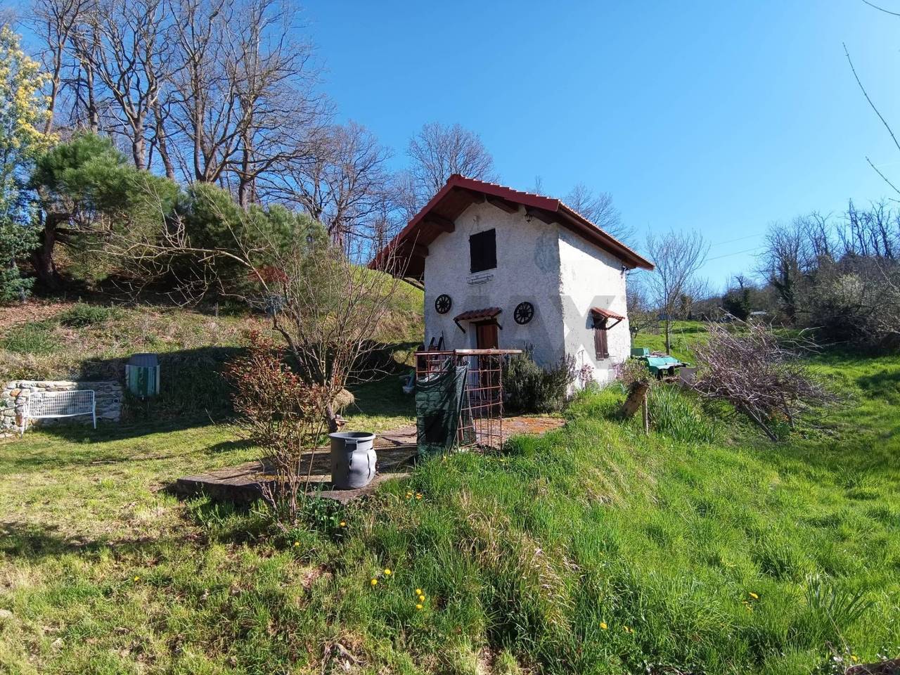 immagine annuncio 11 di 15