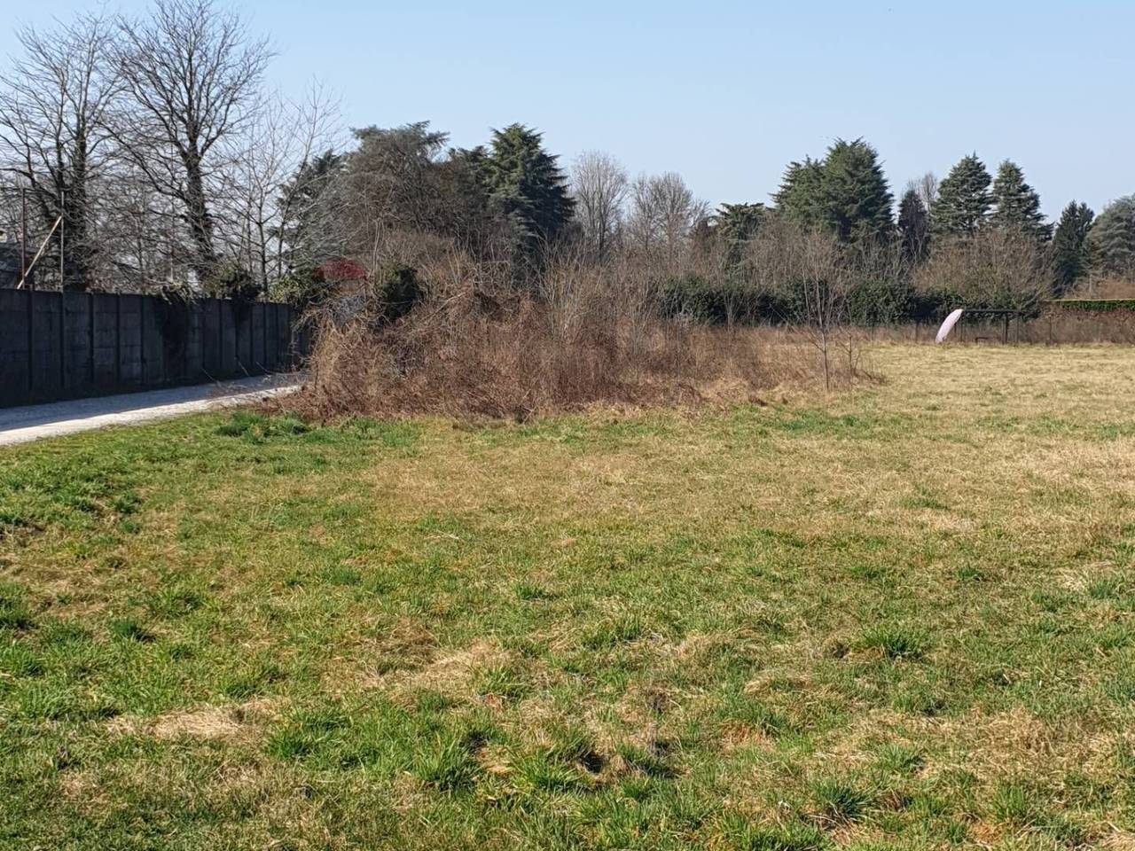 immagine annuncio 5 di 11