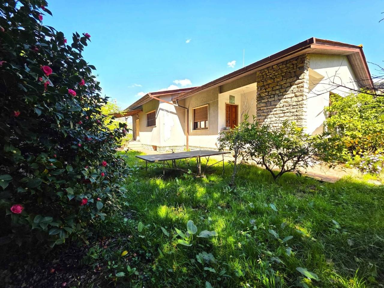 immagine annuncio 3 di 7