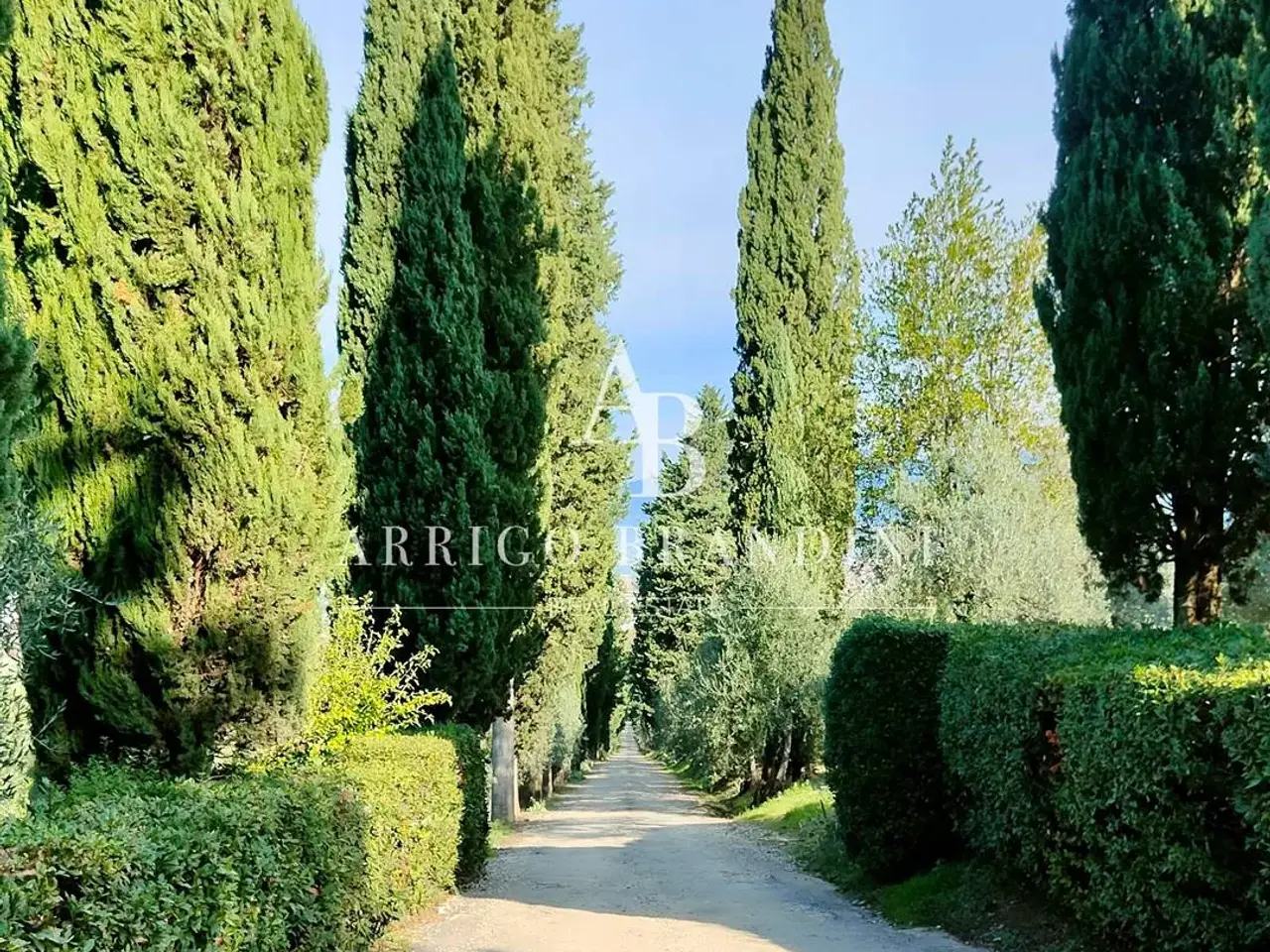 Azienda agricola in , Scandicci, {3} - Foto 1
