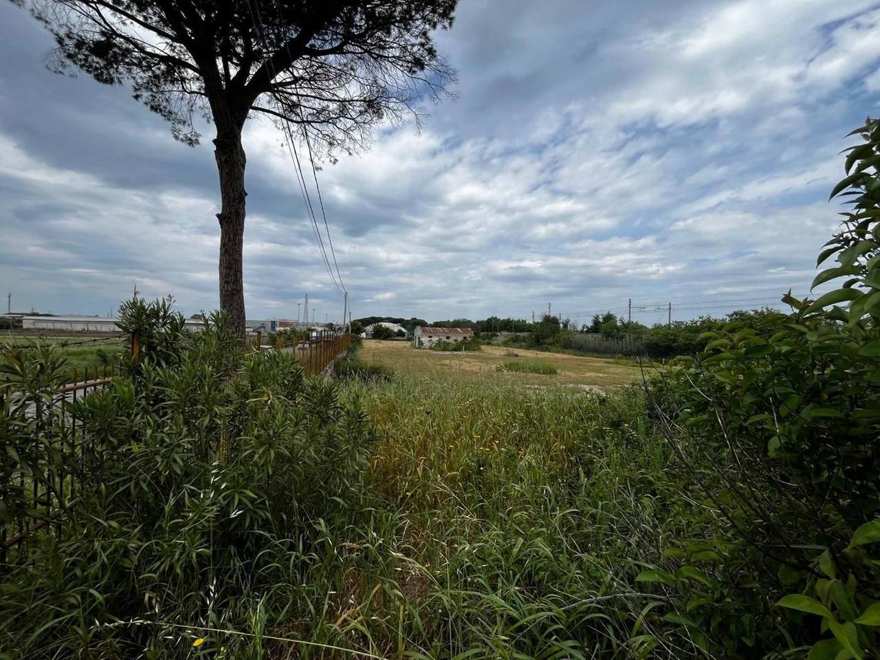 immagine annuncio 3 di 4