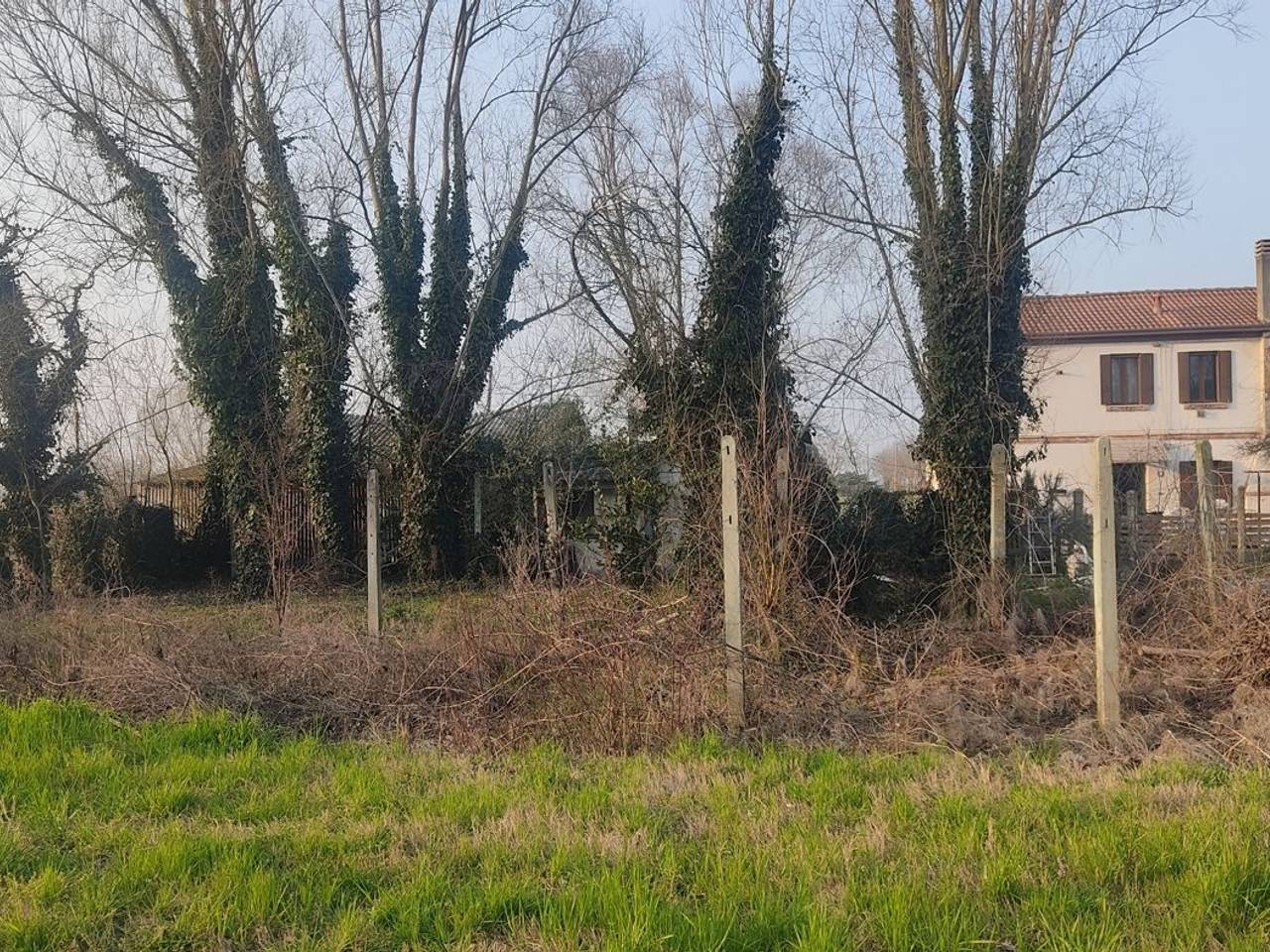 immagine annuncio 7 di 14