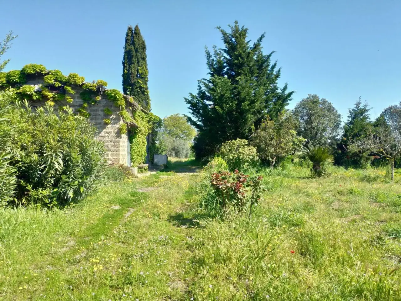Magazzino in Strada Provinciale Tarquiniense, Tuscania, {3} - Foto 1