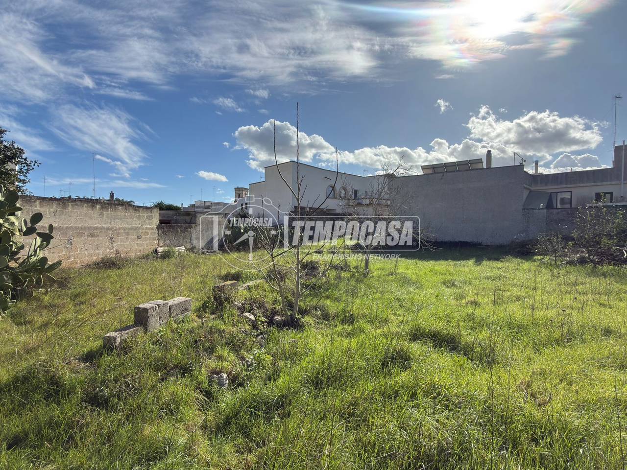 immagine annuncio 6 di 14