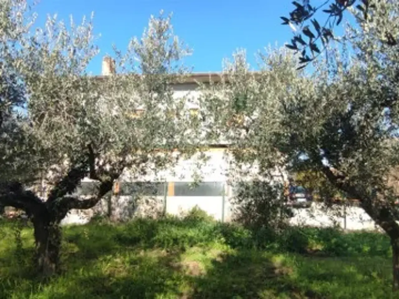 Negozio in , Casalbordino, {3} - Foto 2