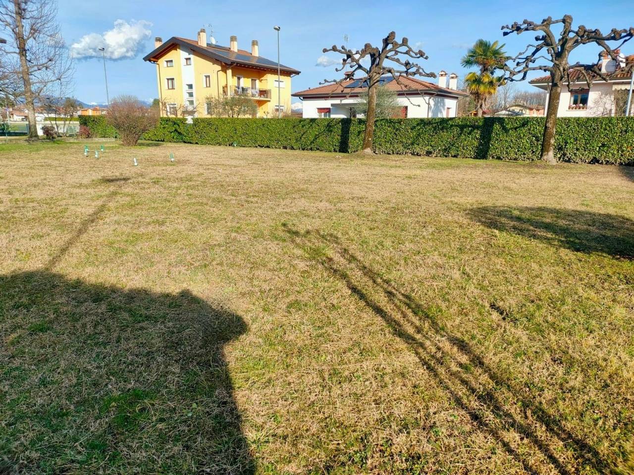 immagine annuncio 5 di 8