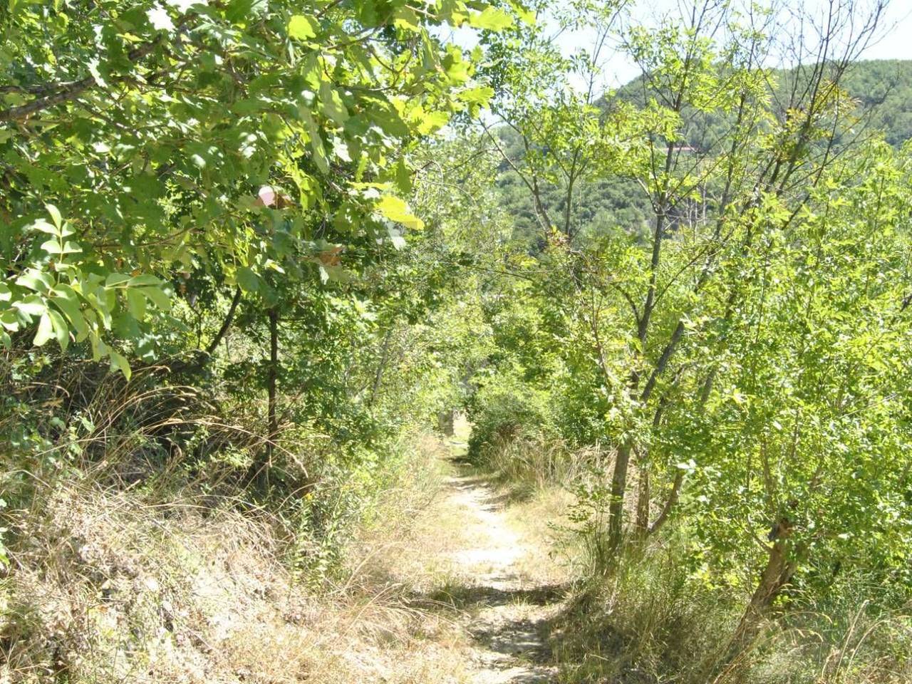 immagine annuncio 11 di 14