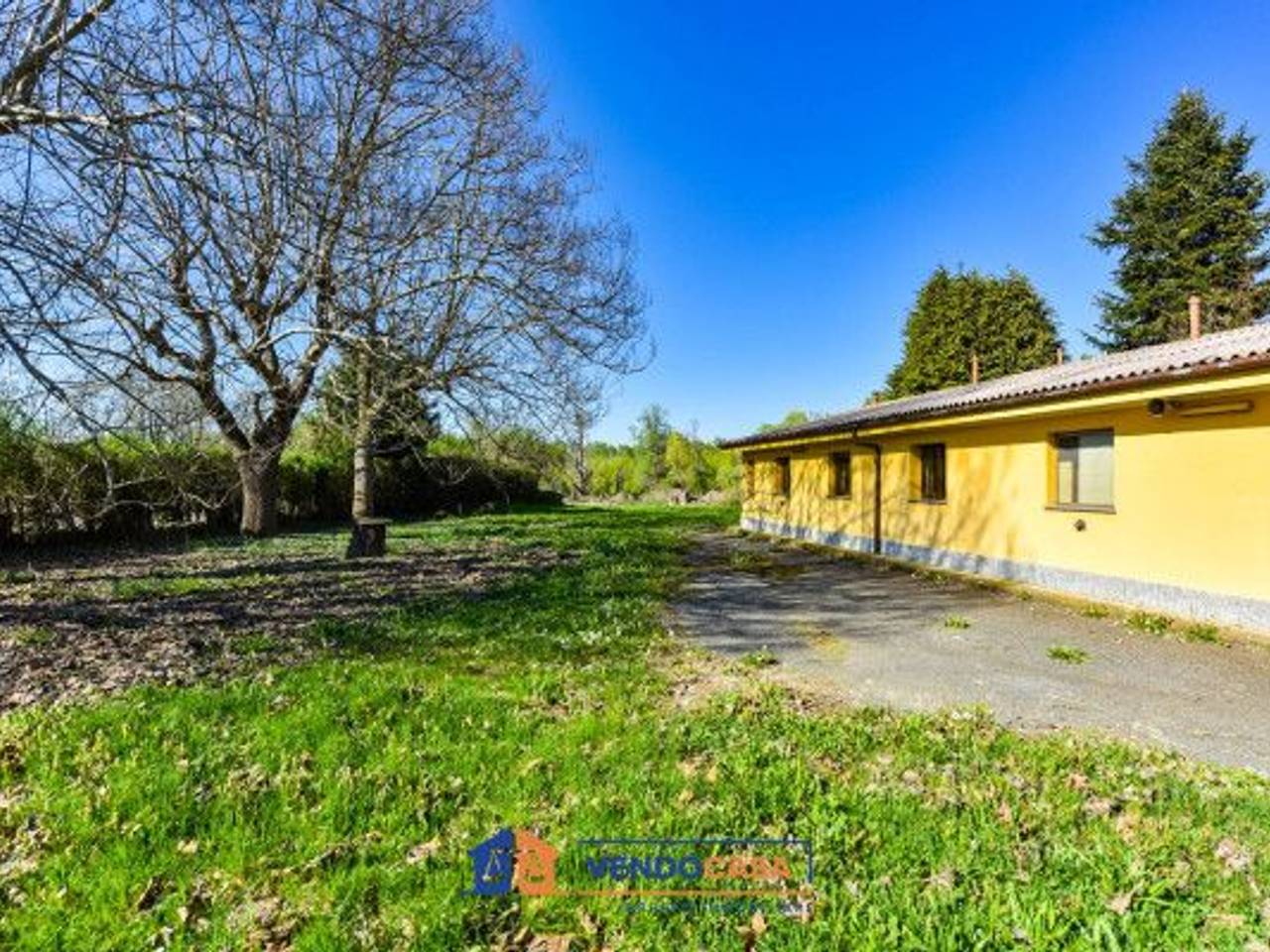 immagine annuncio 5 di 15