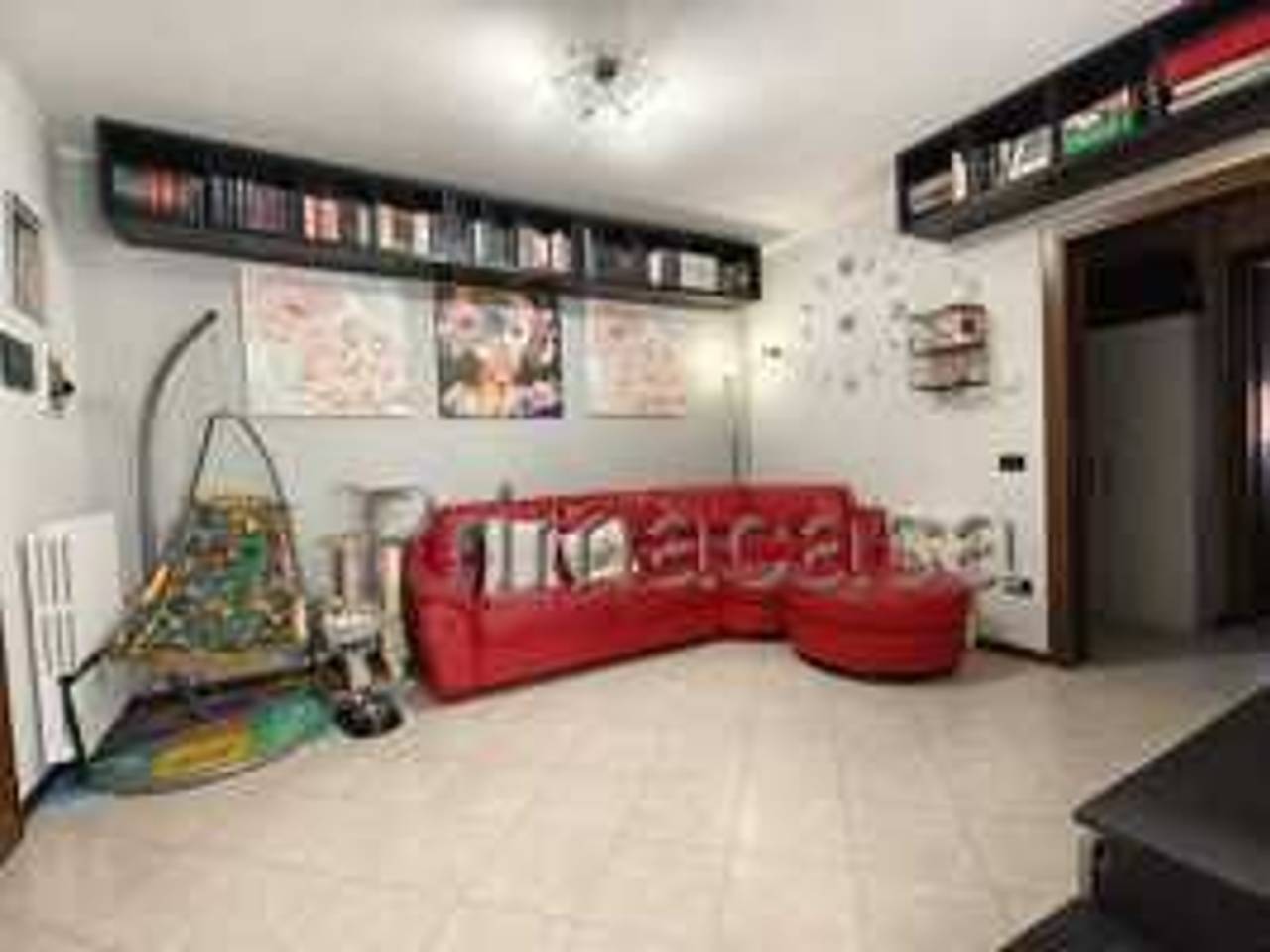 immagine annuncio 6 di 15