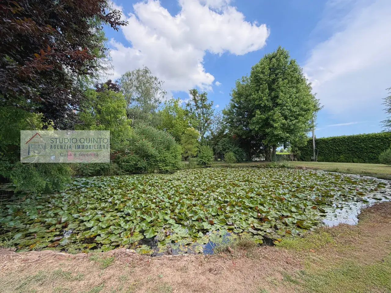 Azienda agricola in , Quinto Di Treviso, {3} - Foto 1