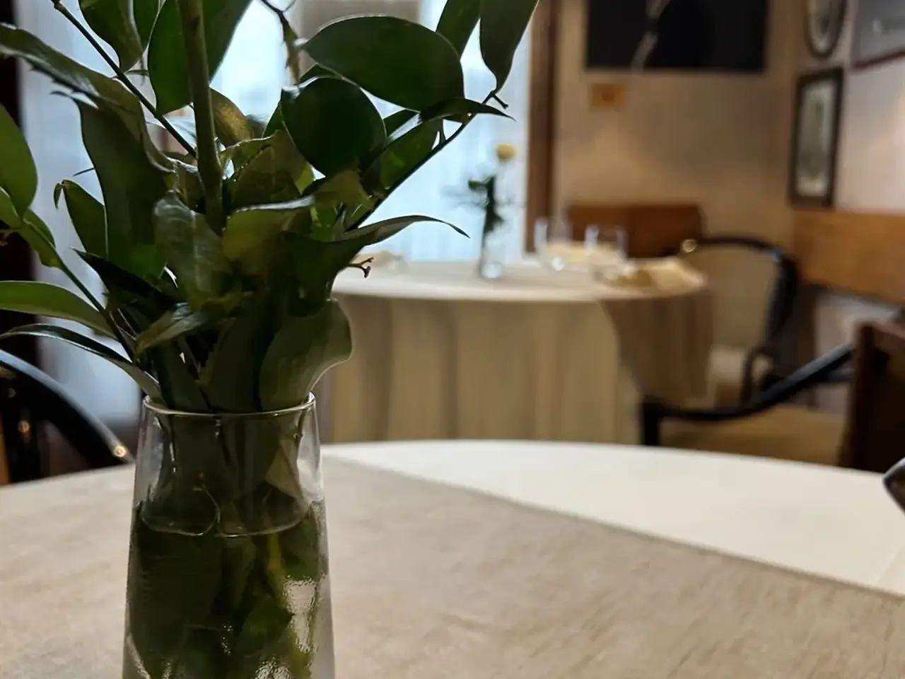 Ristorante in , Bologna, {3} - Foto 2
