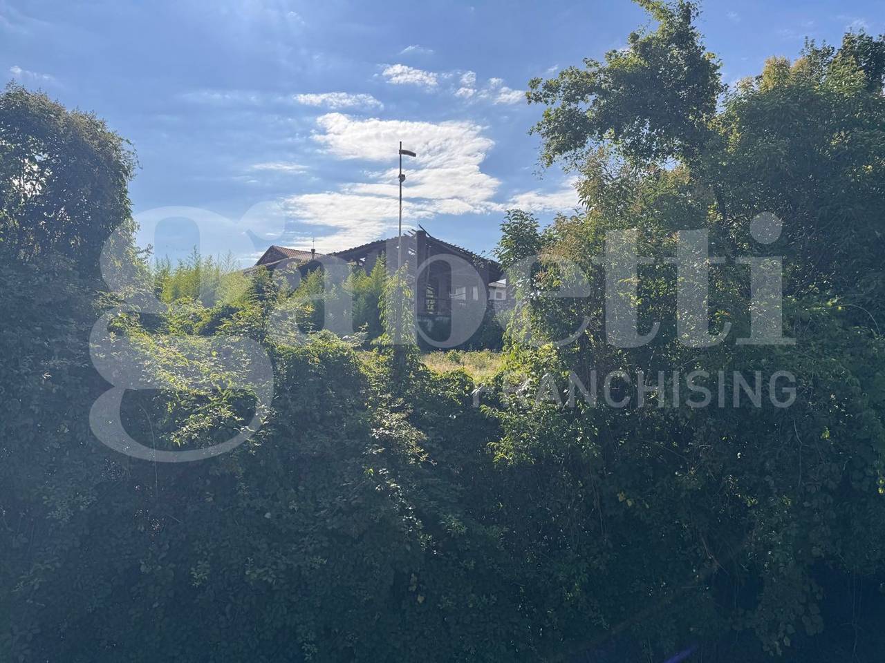 immagine annuncio 5 di 6