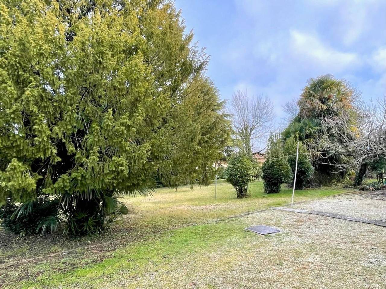 immagine annuncio 1 di 6