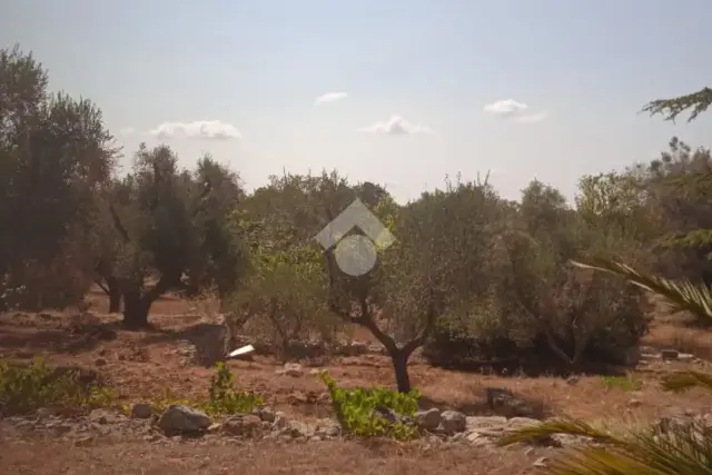 Agricultural land in Contrada Ferro Rosso, Carovigno - Photo 1