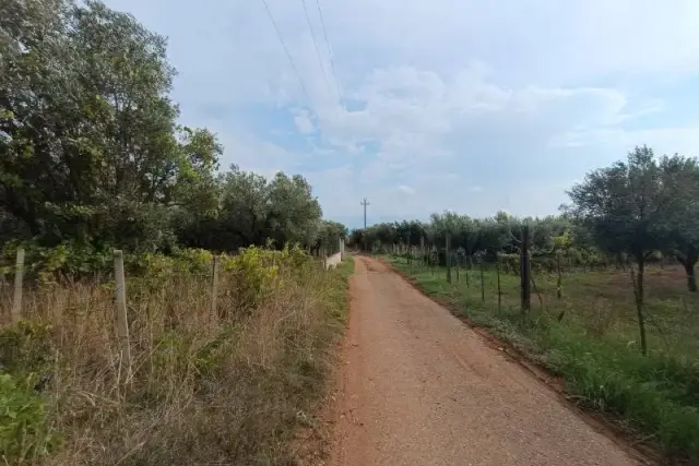 Agricultural land in Via Raoul Morelli, Lamezia Terme - Photo 1