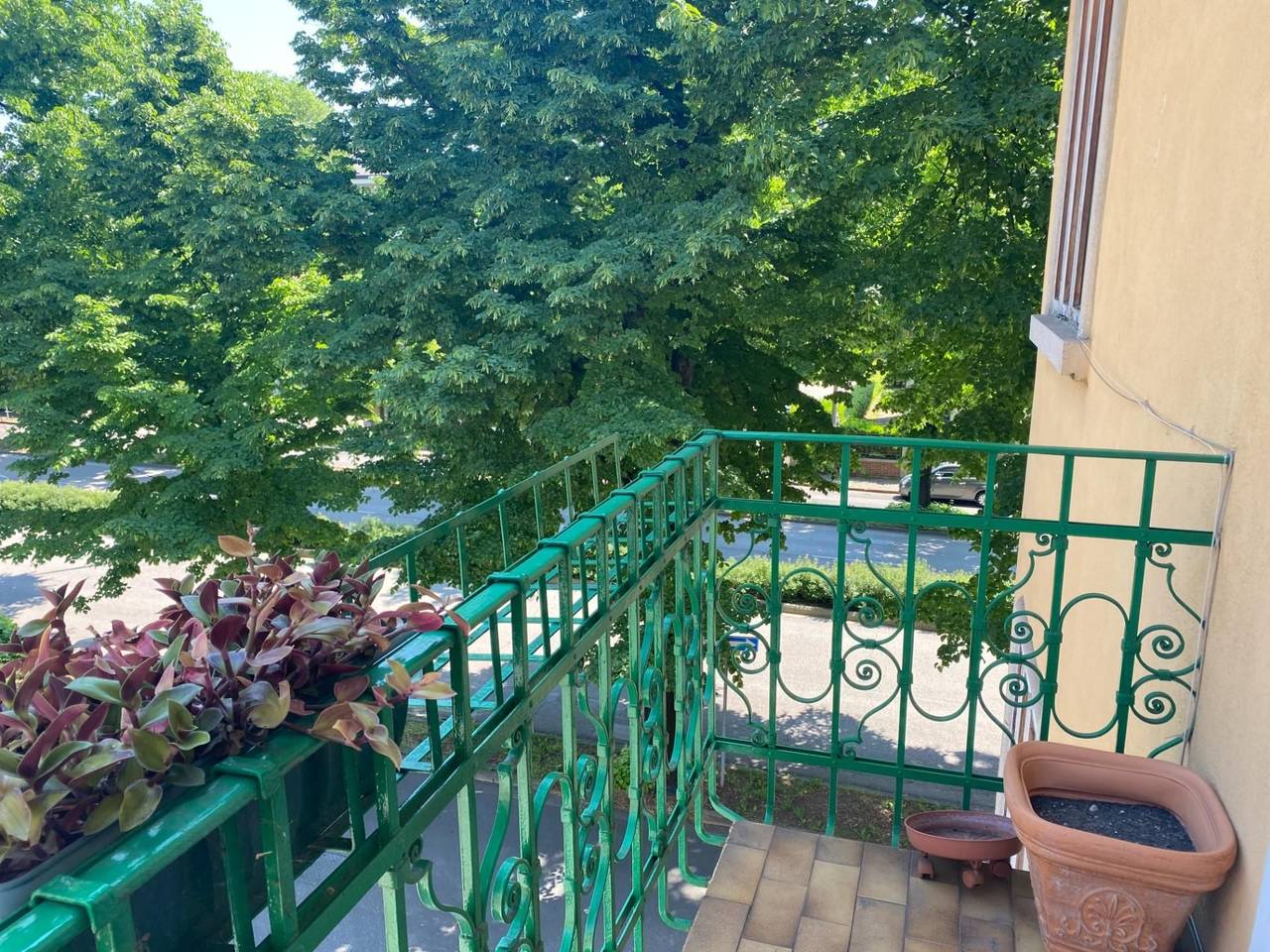 immagine annuncio 7 di 12