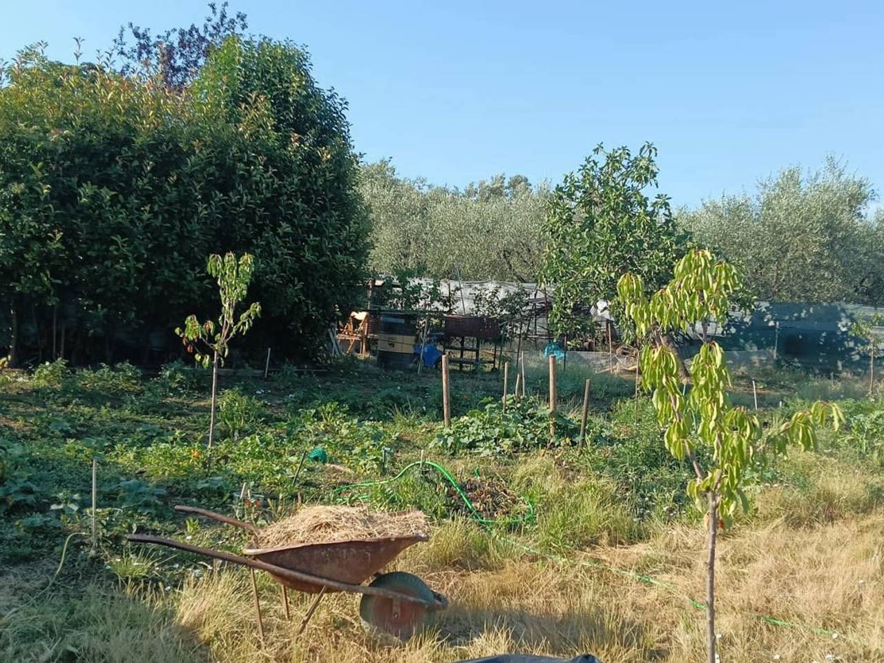 immagine annuncio 2 di 15