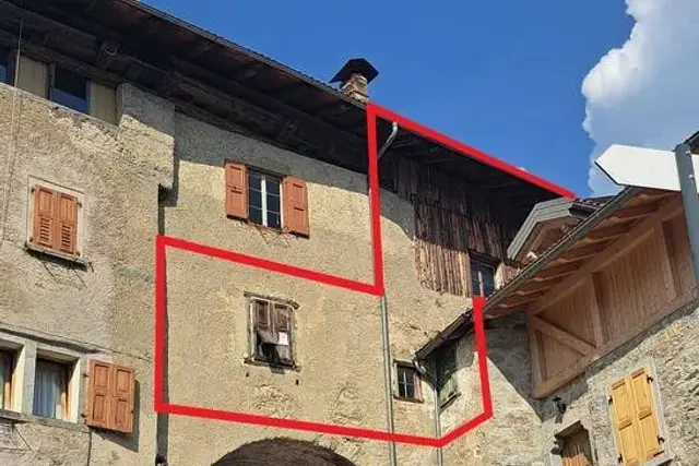 insertion image