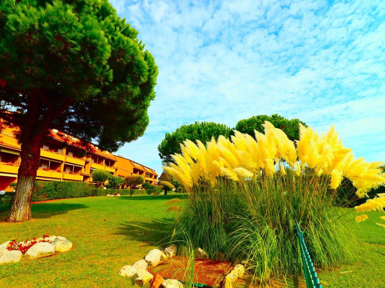 immagine annuncio 7 di 14