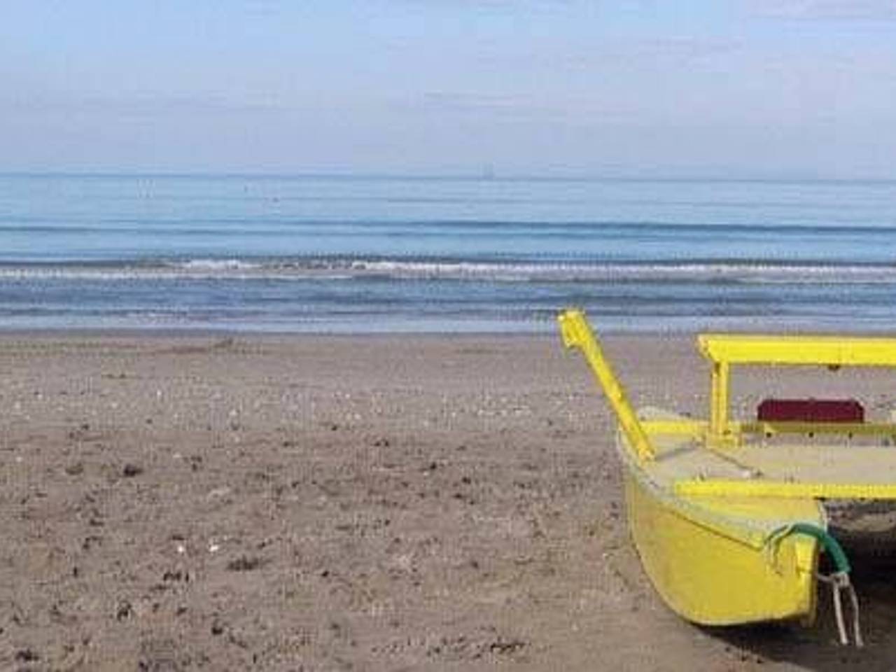 immagine annuncio 5 di 11