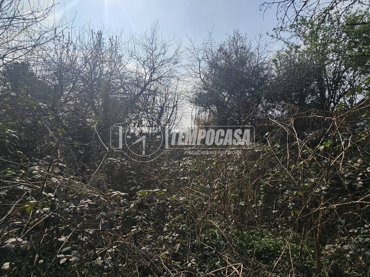 immagine annuncio 6 di 12