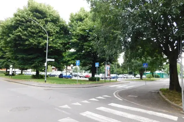 insertion image