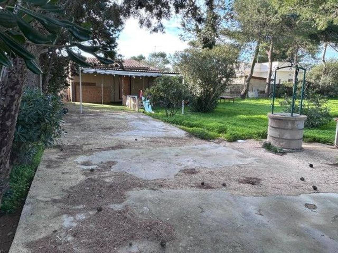 immagine annuncio 5 di 14