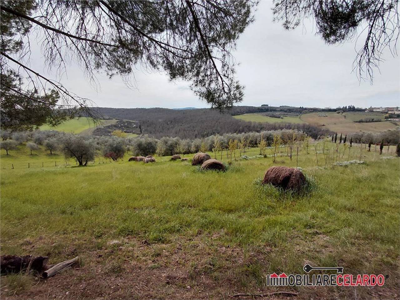 immagine annuncio 7 di 13