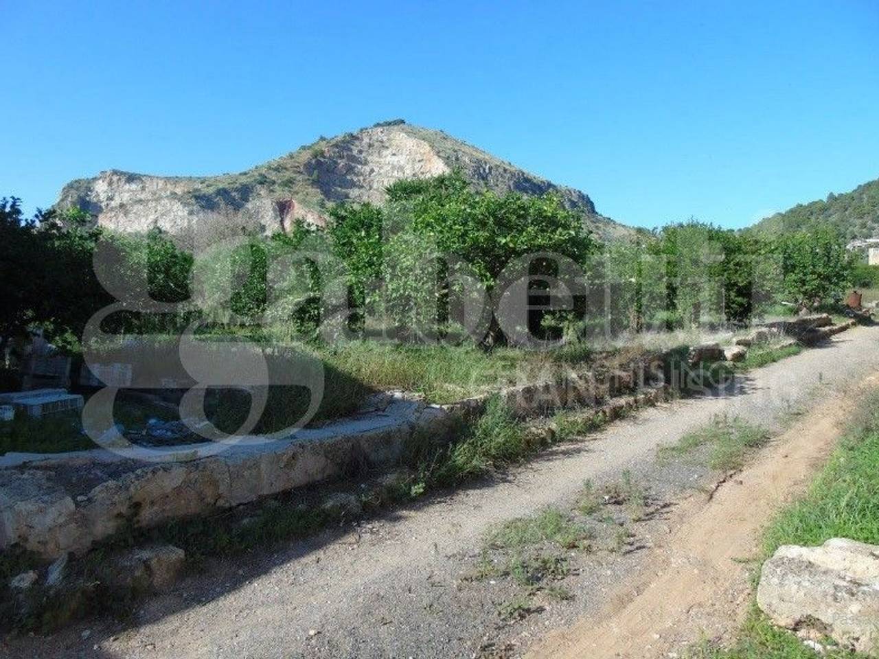 immagine annuncio 2 di 7