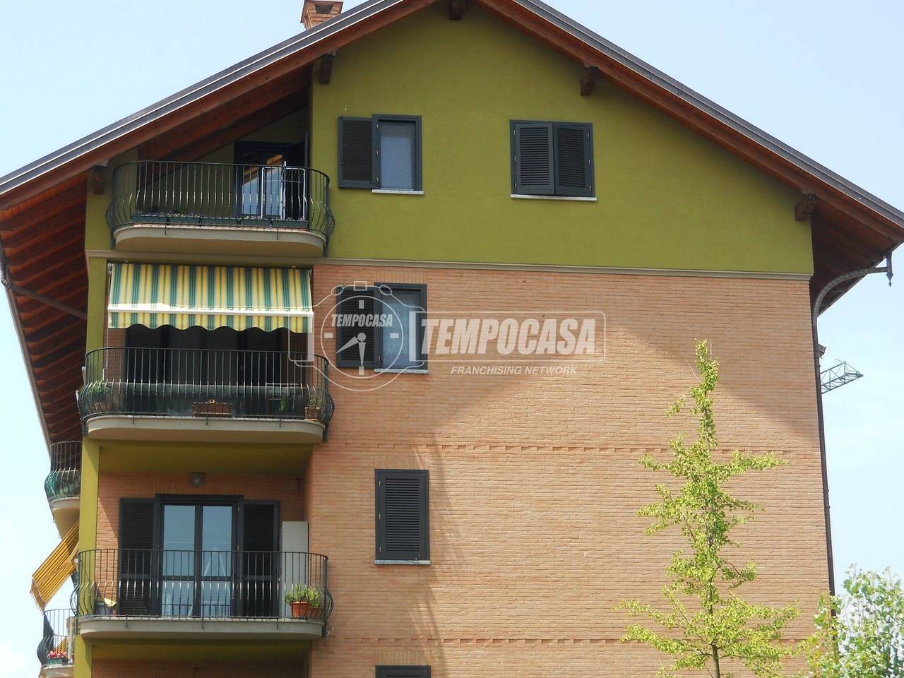 immagine annuncio 2 di 12