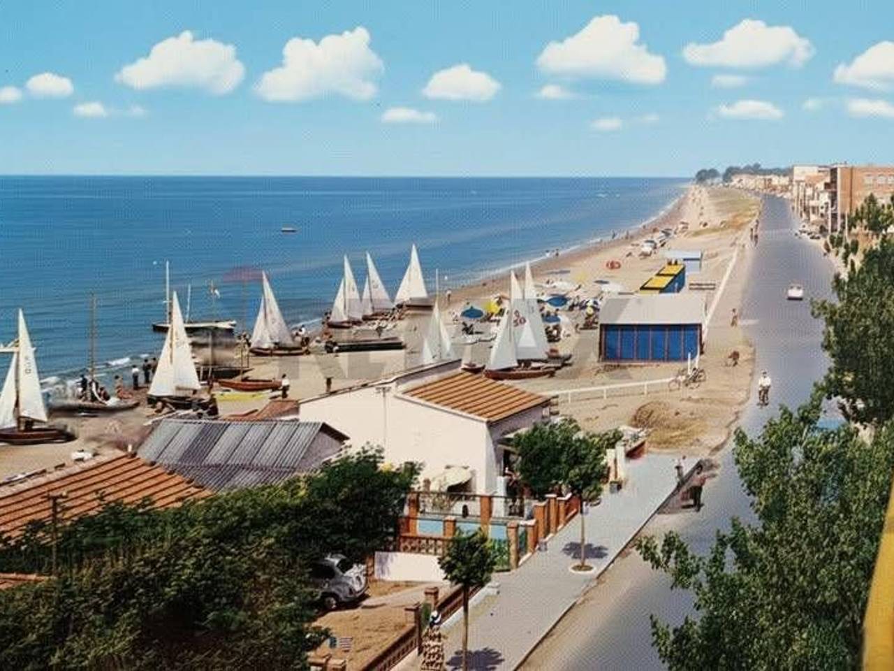 immagine annuncio 2 di 14