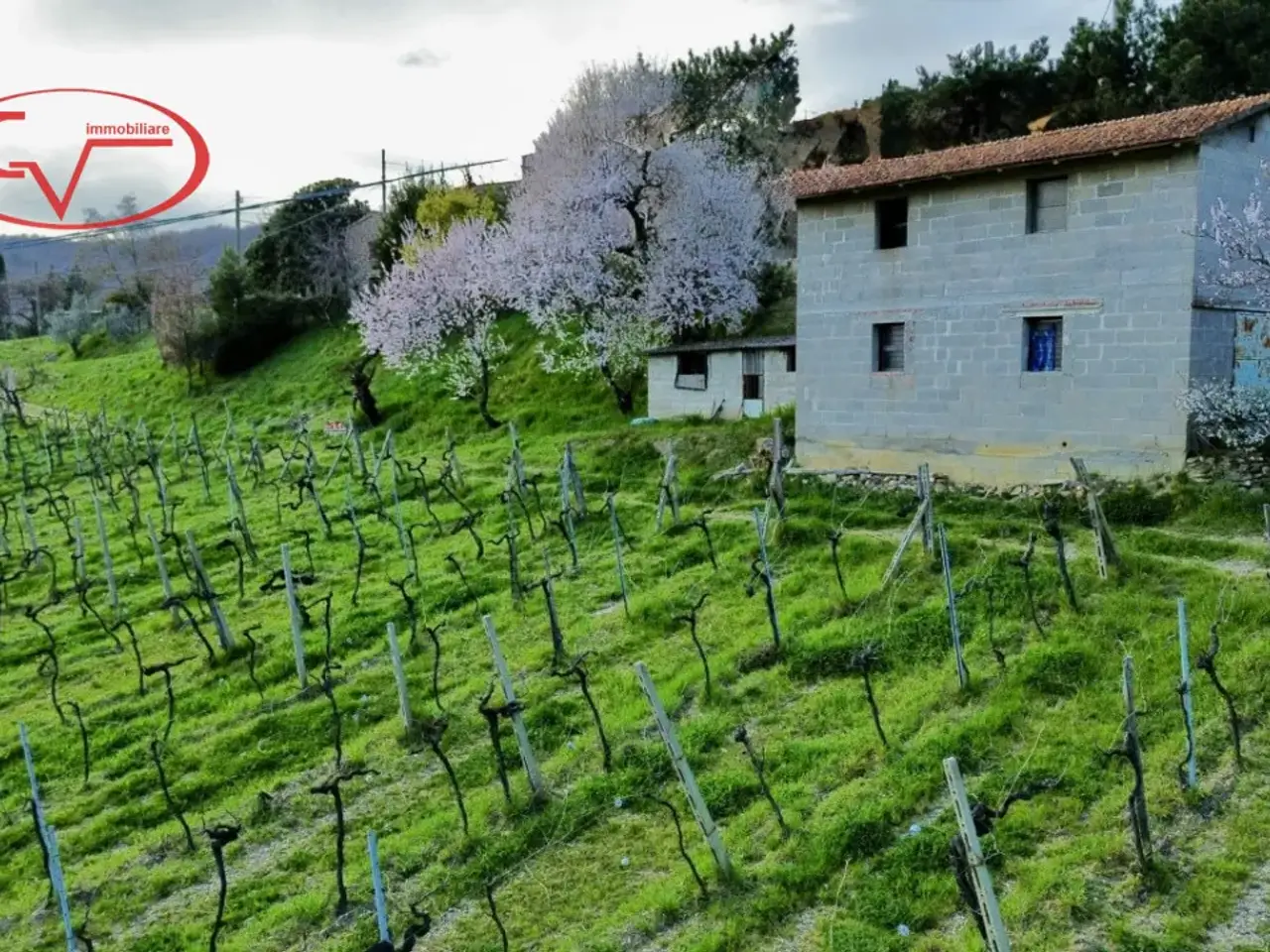 Magazzino in Strada Vicinale di Faeto, Loro Ciuffenna, {3} - Foto 1