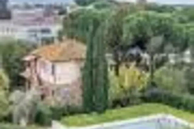 insertion image