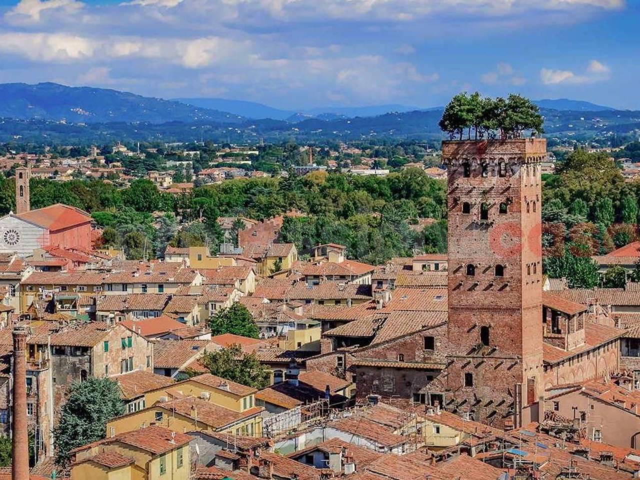 immagine annuncio 8 di 10