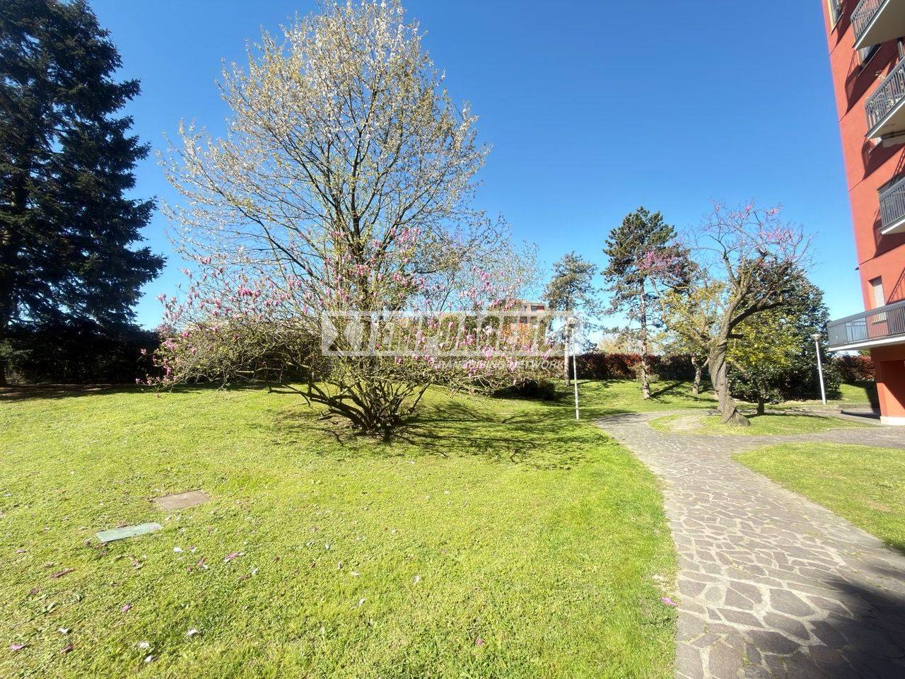 immagine annuncio 3 di 7