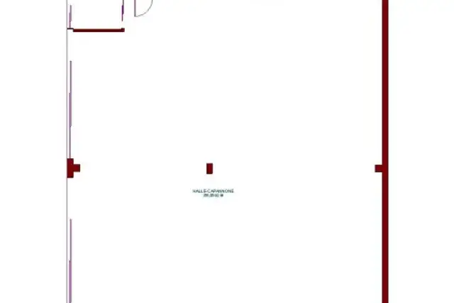 insertion image