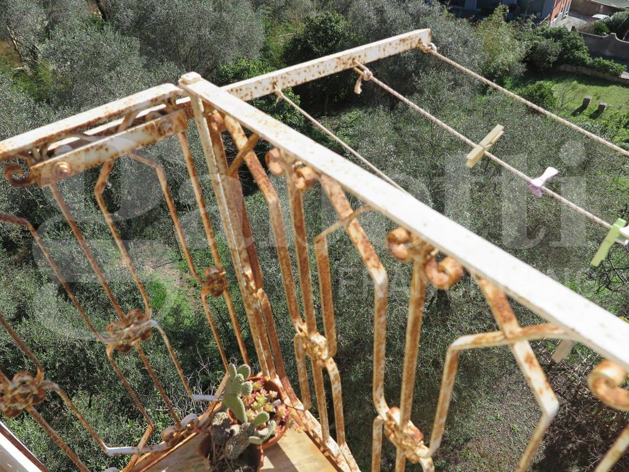 immagine annuncio 6 di 14