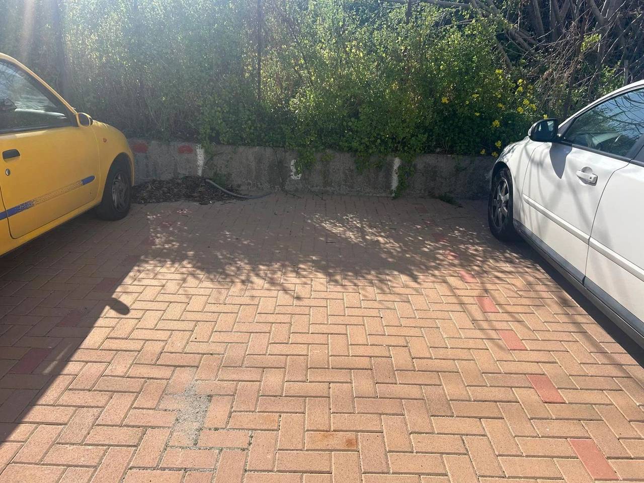 immagine annuncio 11 di 14