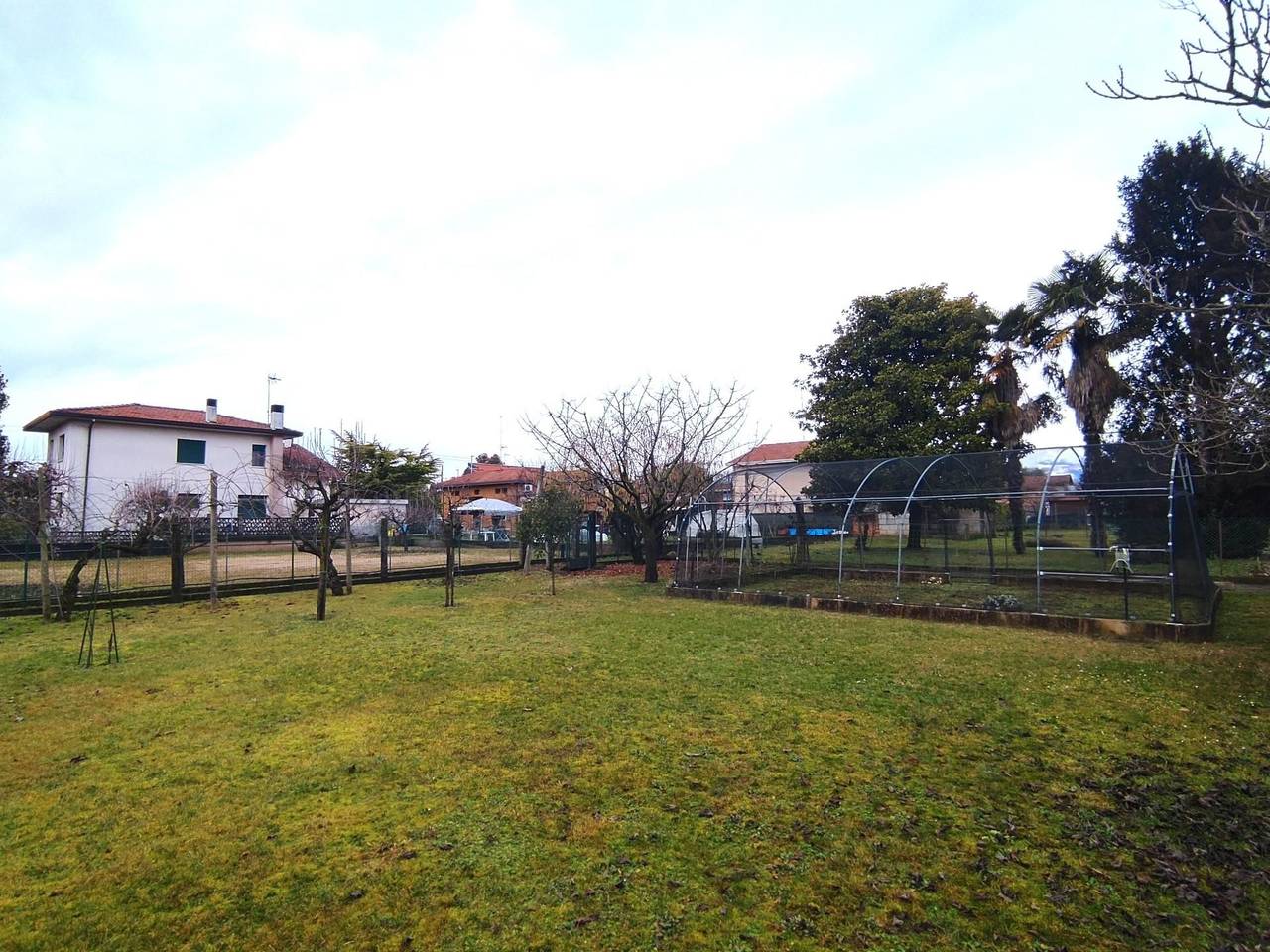 immagine annuncio 7 di 15