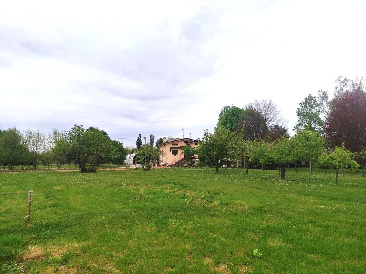 immagine annuncio 13 di 15