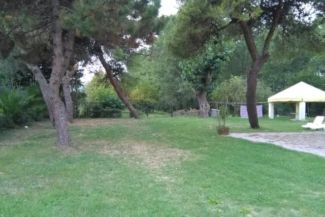 insertion image
