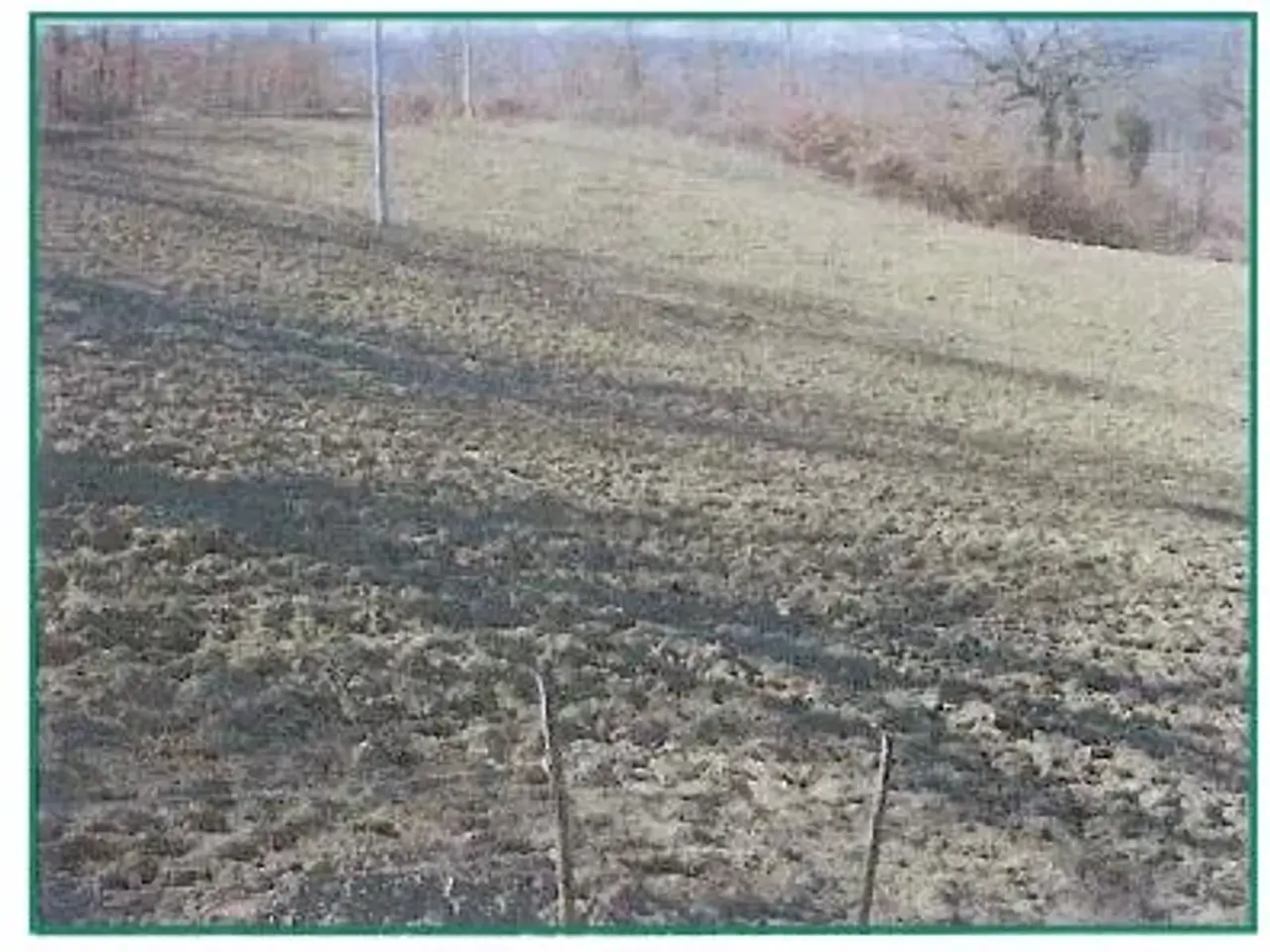 Azienda agricola in , Pieve Santo Stefano, {3} - Foto 1