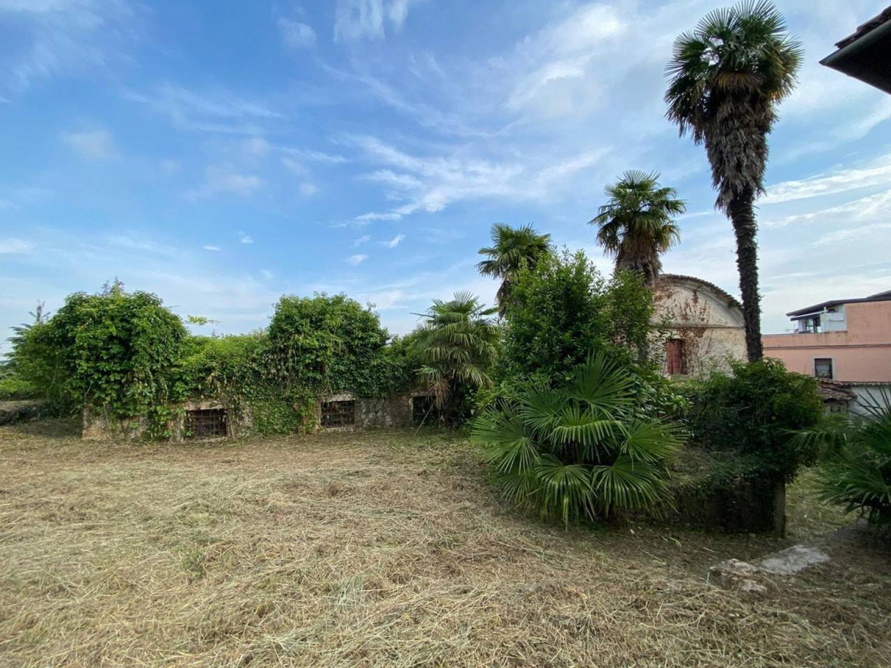 immagine annuncio 6 di 12