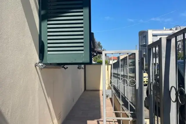 insertion image