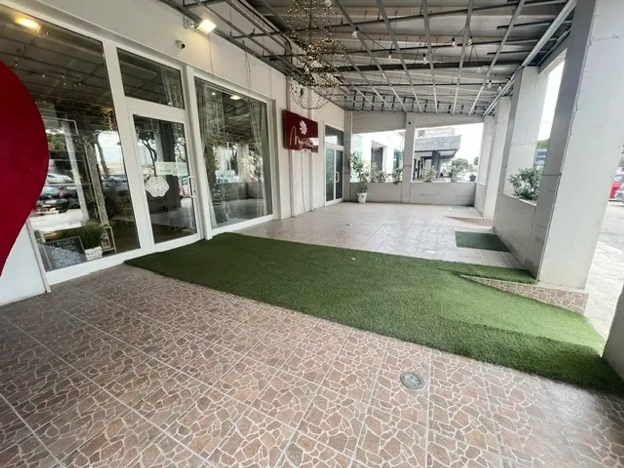 Piante e fiori in Viale Palmiro Togliatti 108, Brindisi, {3} - Foto 1