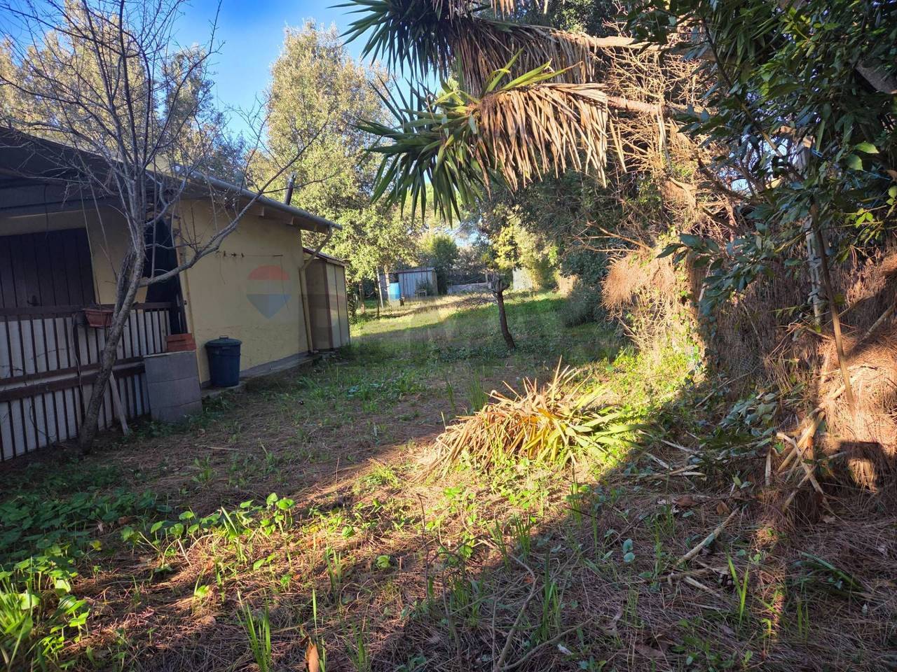 immagine annuncio 2 di 9