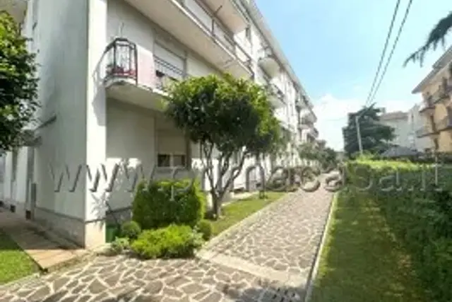 insertion image
