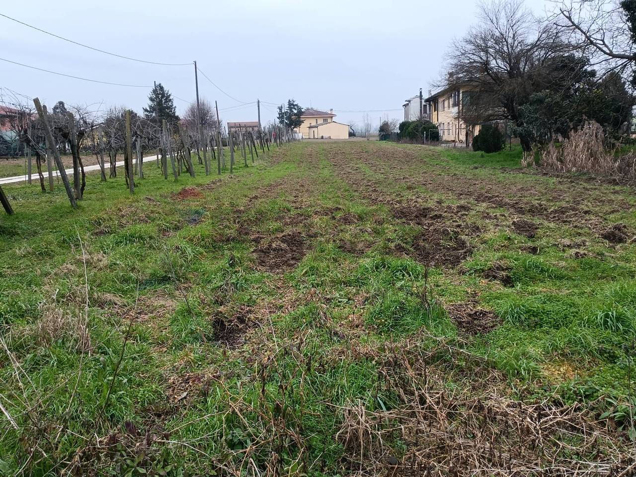 immagine annuncio 9 di 11